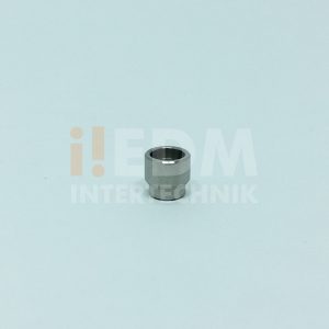 Extensor da guia - Image 3